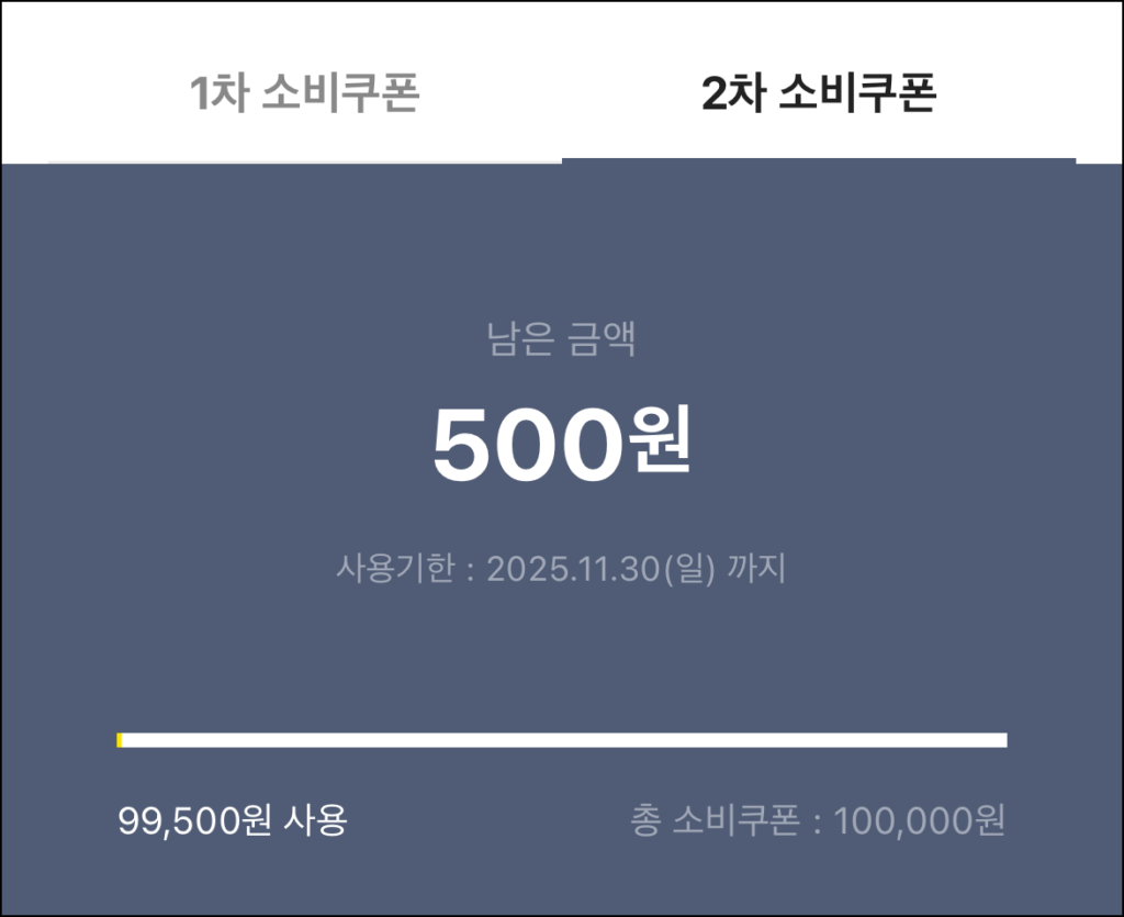 2차 소비쿠폰 잔액과 사용기간을 확인한 모습