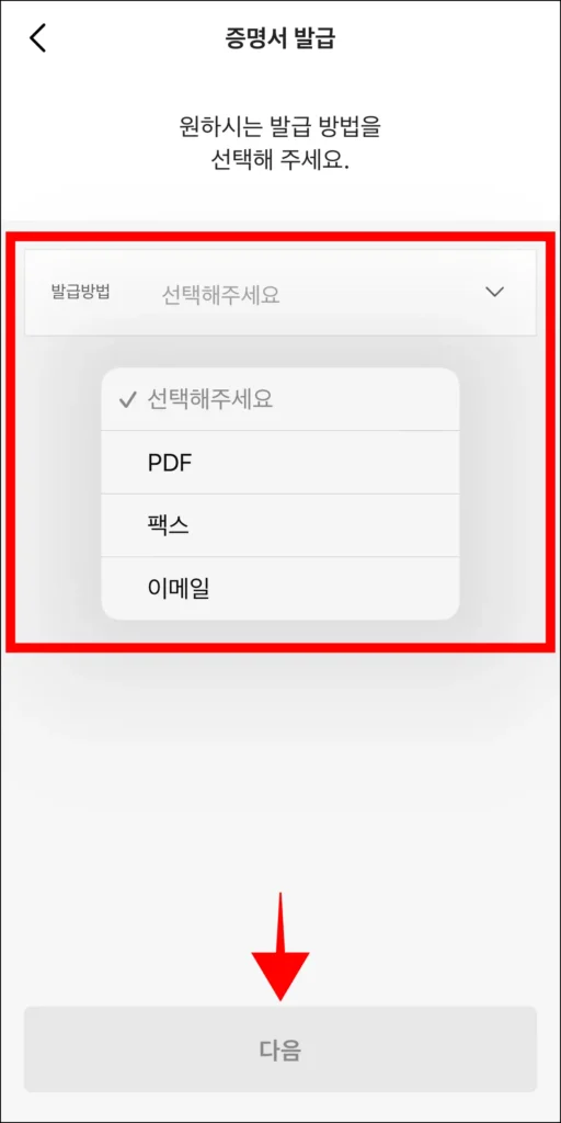 발급 방법을 선택한 후 다음을 선택