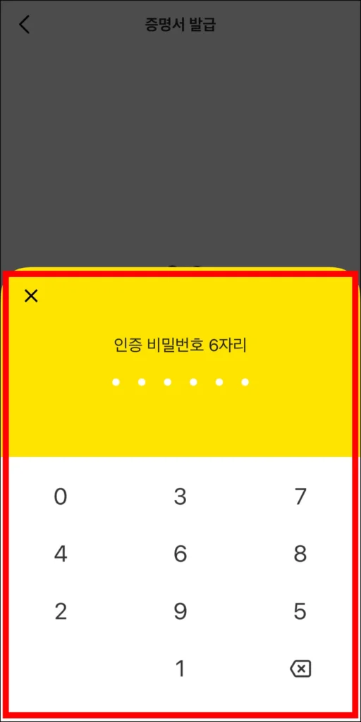 인증 비밀번호 6자리를 입력