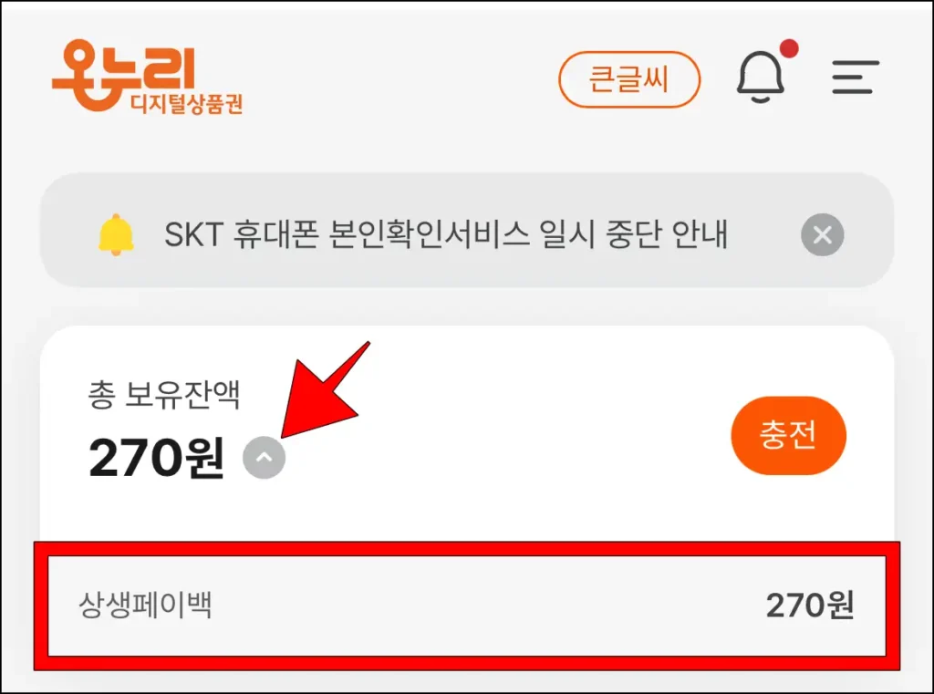 디지털 온누리 앱에서 총 보유잔액의 열기 버튼을 선택해 상생페이백 잔액을 확인