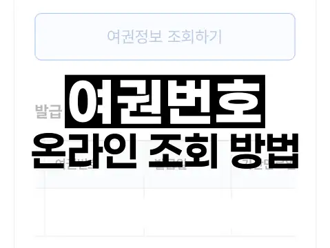 여권번호 온라인 조회 방법