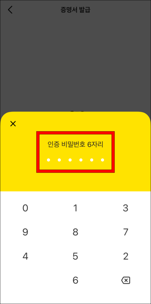 인증 비밀번호 6자리를 입력