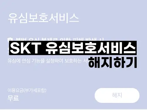 SKT 유심보호서비스 해지하기