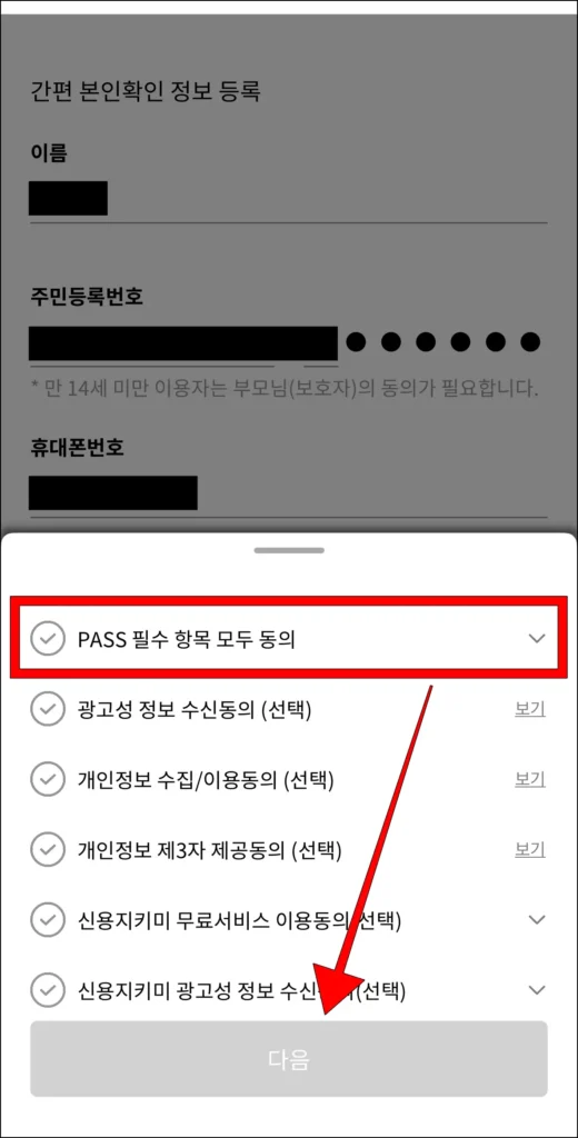 PASS 필수 항목 모두 동의 후, 다음 선택