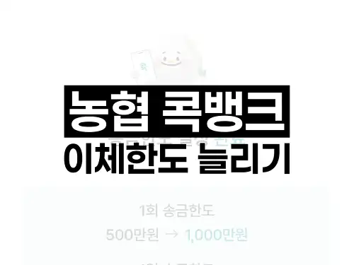 농협 콕뱅크 이체한도 늘리기