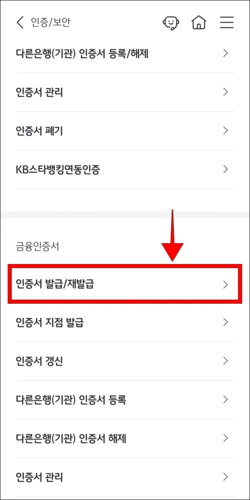 금융인증서 메뉴 중 '인증서 발급/재발급' 선택