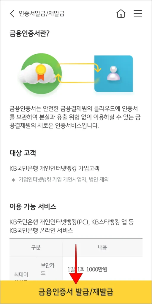 금융인증서 안내 확인 후 '금융인증서 발급/재발급' 선택