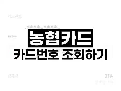 농협카드 카드번호 조회하기