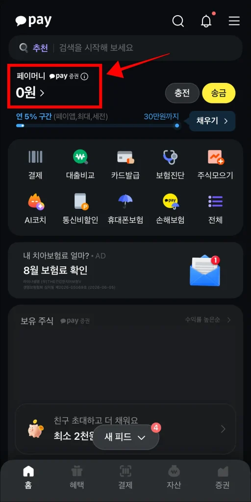 카카오페이에서 '페이머니' 영역을 선택