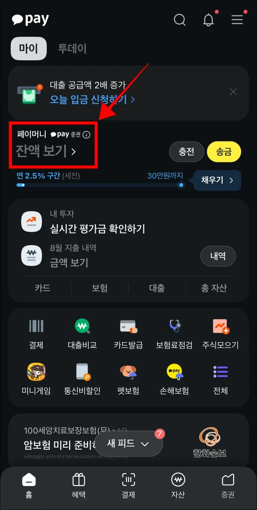 카카오페이에서 '페이머니' 영역을 선택
